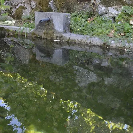 Casa Camelias Anisso