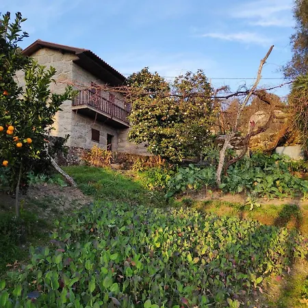 Casa Camelias * Anisso