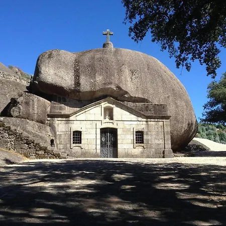 Casa Camelias *