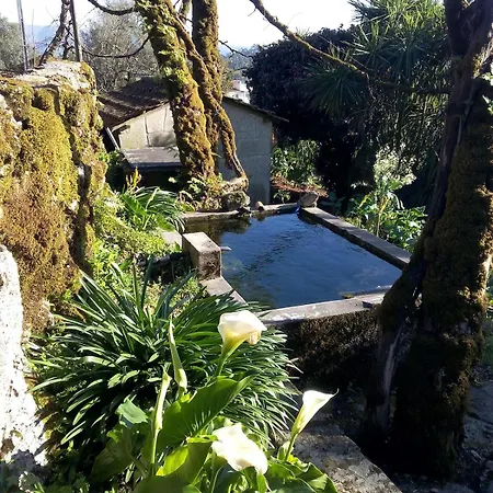 Vakantiehuis Casa Camelias